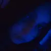 v - @verachase123 - TikTok