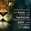 vera isabel chavez - @vera1969chavez - TikTok