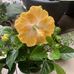 Vera Cheng - Facebook
