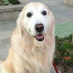 Vera Chuang - @verachuang2003 - Instagram