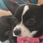 Vera Cochran - Facebook