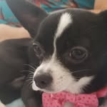Vera Cochran - @vera.cooper.982 - Instagram