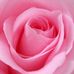 Vera Sanford Combs - Facebook