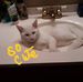 Vera Conley - Facebook