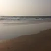 veracookies - @veracookies - TikTok