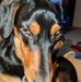 Vera Cooke - Facebook