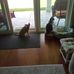 Vera Cornell - Facebook