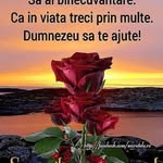 curtiş_vera - @curtis_vera24 - Instagram