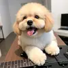 devera_devera_🌛 - @devera_devera_ - TikTok