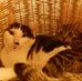 Vera Diehl - Facebook