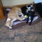 Vera Doyle - @vera.doyle - Instagram