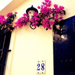 Vera Fields - @rockwisdomtwitter - Instagram