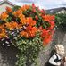 Vera Gray - Facebook