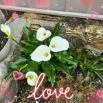 vera hall - @verahall480 - Instagram
