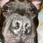 Vera - @verahalldin78 - Instagram