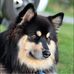 Vera Hansen - Facebook
