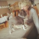 Vera Hansen - @teddy_u._bibby - Instagram