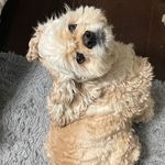 Vera harrison - @leannevera1 - Instagram