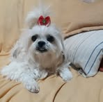 Vera Hayashi - Facebook