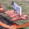 veraherrera7 - @veraherrera7 - TikTok