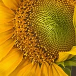 Gloria Maria Vera Hogan - @gloria_vera62 - Instagram