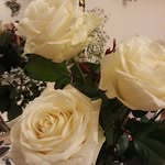 Vera Hogan - @verahogan - Instagram