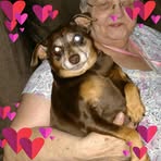 Vera Kirkpatrick - Facebook