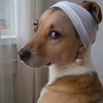 Vera Knight - @vera.knight.777 - Instagram