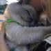 Vera Knutsson - Facebook