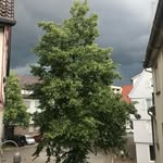 Vera Koch - @verakoch27 - Instagram