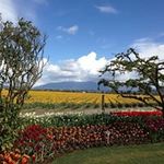 Vera Koch - @koch_vera - Instagram