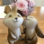 VeraKong - @verakong1983 - Instagram