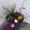 Vera Krause - @vera.krause8 - TikTok