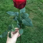 Vera Kuster - @kuster9004 - Instagram