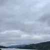 1blackice101 - @veraala.a - TikTok