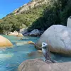 Verala - @veraala - TikTok