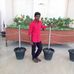 Vera Lake - Facebook