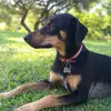 vera🐶 - @vera_landd - TikTok