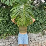 v  e  r  a - @vera.langenberger - Instagram