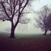 Vera Lange45 - @veralange45 - TikTok