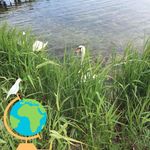 Vera Lange - @vera.lange.311 - Instagram