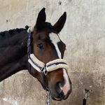 Vera Lange-Stanka - @langestanka - Instagram