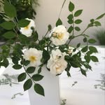 Vera - @vera_lange - Instagram
