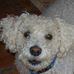 Vera Larkin - Facebook