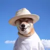 lavendervera97 - @lavendervera97 - TikTok