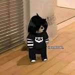 Vera Salvador Victor Lawrence - @veralawrence123 - Instagram