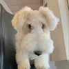 vera.lee_ - @vera.lee_ - TikTok
