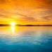Vera Link - Facebook