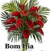 Vera Link - Facebook