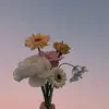 littlespicy - @veraliu08 - TikTok